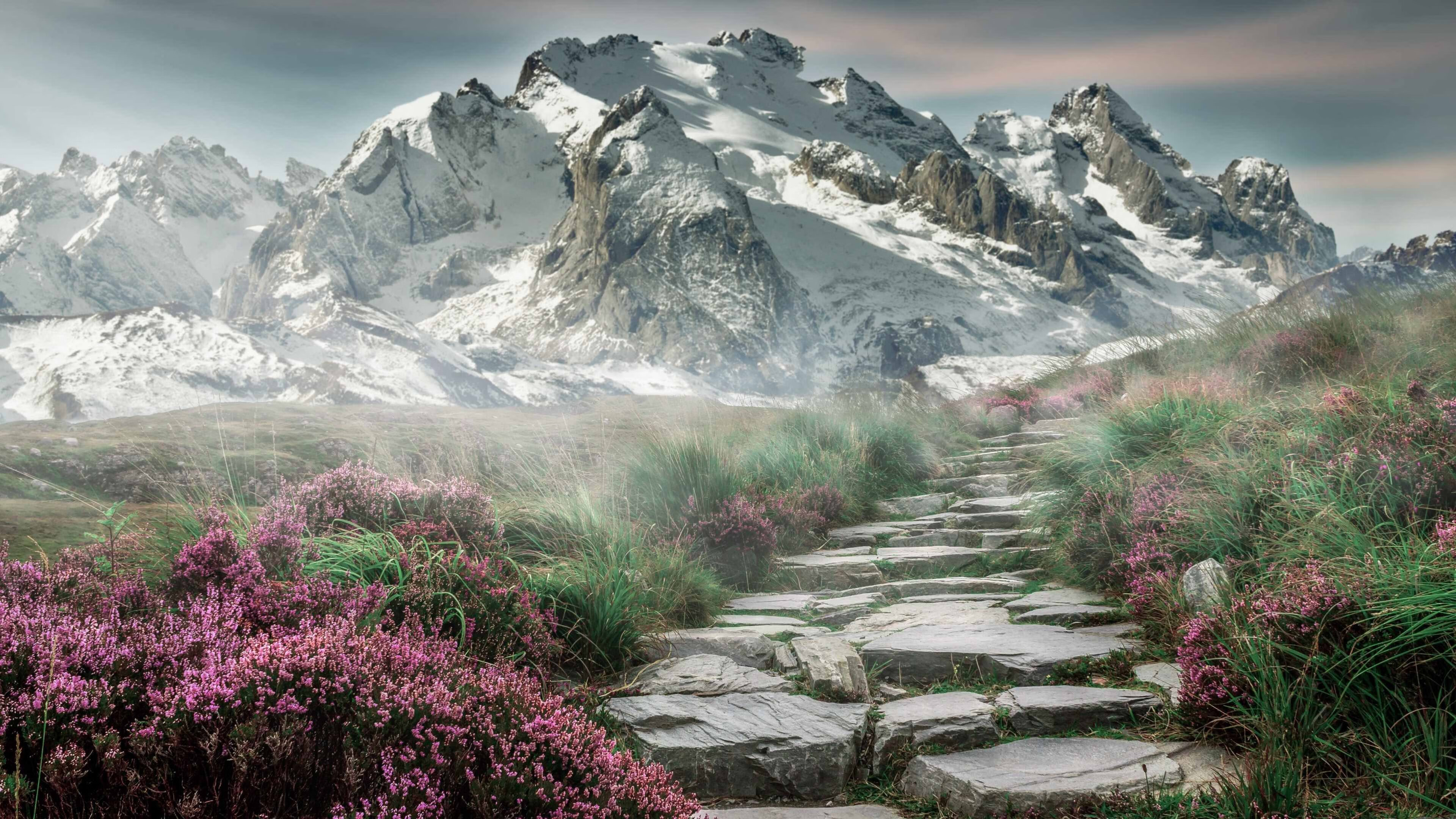 v7.2.5 版本发布说明，2026年4月30日，性能优化与安全增强